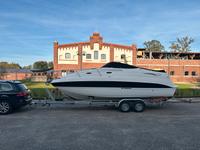 Stingray 250 CS Nordrhein-Westfalen - Velen Vorschau