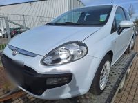 Fiat Punto MyLife 1,3 51 KW Niedersachsen - Pattensen Vorschau