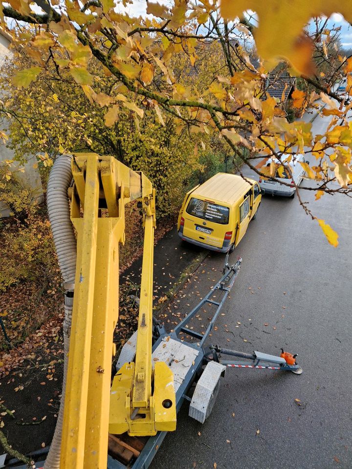 Baumpflege Baumfällung Gartenbau in Obergriesbach