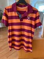 Poloshirt Gr 164 Tom Tailor Nordrhein-Westfalen - Paderborn Vorschau