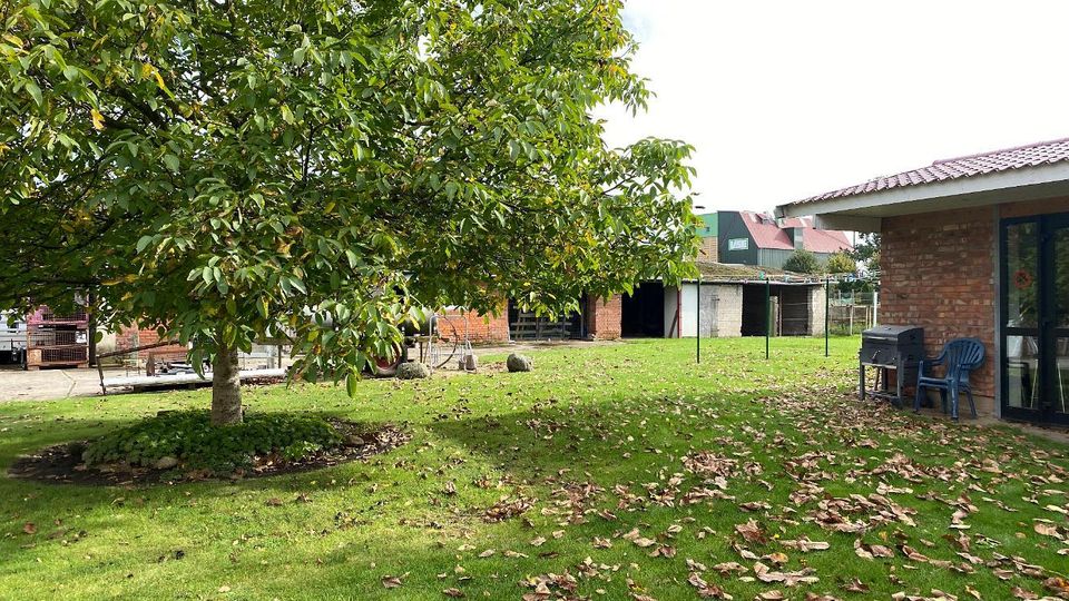 Ein Haus für Mensch und Tier in der Nähe von Uelzen Stadt in Rätzlingen