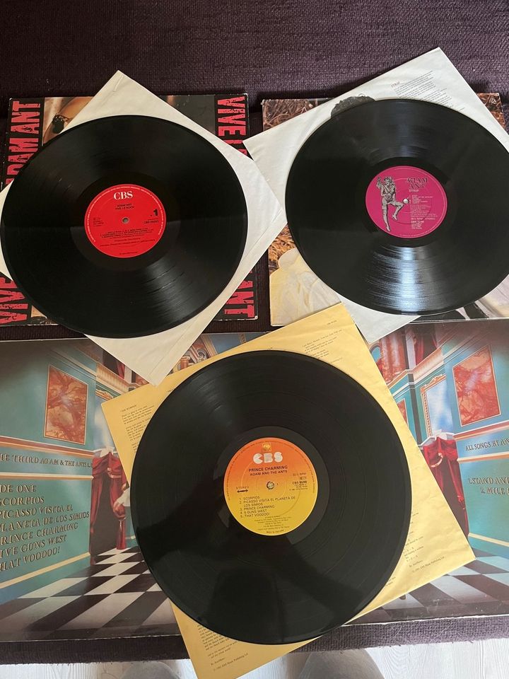 3x Adam Ant Adam and the ants Vinyl LP Paket Sammlung Rock in Melle
