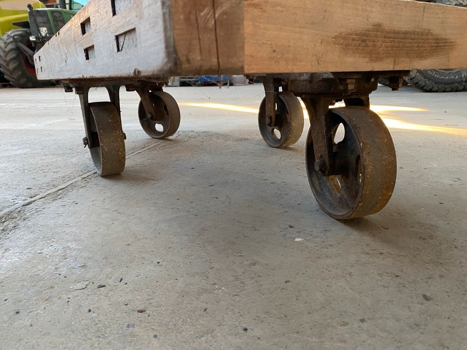 Schwerlastrollwagen Tischlerwagen Transport Buche Stahl Industrie in Salzgitter