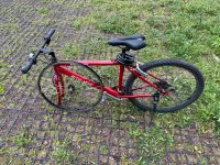 Herren Fahrrad Hessen - Wiesbaden Vorschau