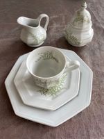 Villeroy & Boch - Gallo Kaffeegeschirr 12-teilig, m. 2 Kannen Hessen - Neu-Isenburg Vorschau