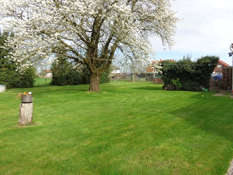 Tolles Zweifamilienhaus mit viel Platz und großem Garten in Bad Essen