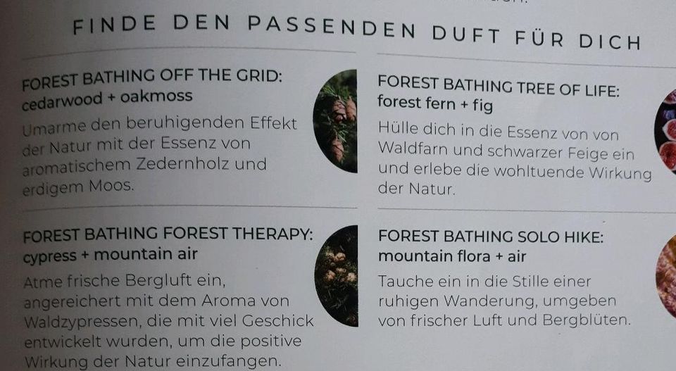 PartyLite Forest Bathing Kerze Natur 1 + 1 gratis neu ovp in Rüthen