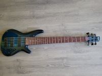 Highend Bass Ibanez ANB1006 Custom Shop Model Hamburg-Mitte - Hamburg St. Pauli Vorschau