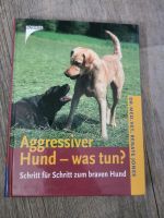 Aggressiver Hund - was tun? Häfen - Bremerhaven Vorschau