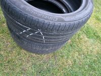 Pirelli cinturato p7 245/40R18  1 + 1 gratis sommerreifen Bayern - Reisbach Vorschau