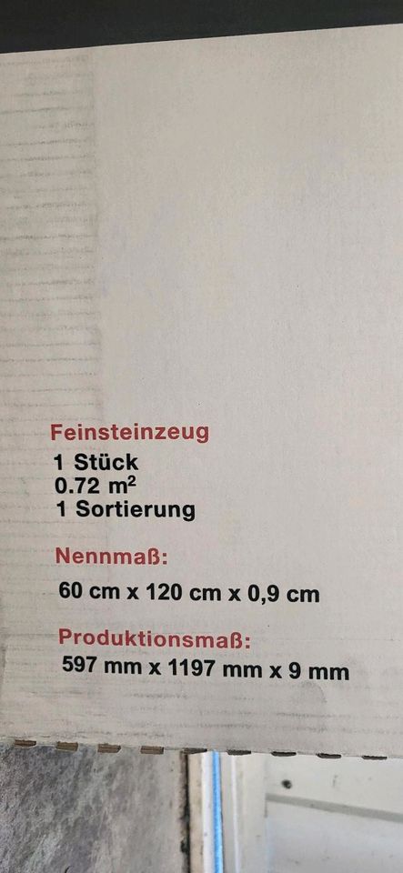 Feinsteinzeug 1x Bodenfliese grau 120x60 in Ottendorf-Okrilla