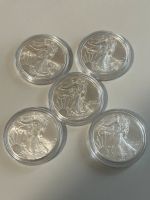 5 x 1oz Silber 2009 American Eagle USA in Kapsel Münze Niedersachsen - Langenhagen Vorschau