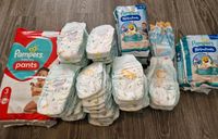 Pampers Windeln Gr. 3 Pants Schwimmwindeln Set Duisburg - Meiderich/Beeck Vorschau