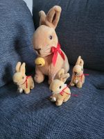 Lindt Plüsch Osterhasen XXL und kleine Brandenburg - Zeuthen Vorschau