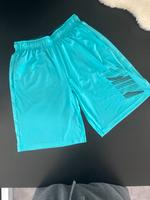 Nike dri fit Shorts kurze Hose Türkis Gr M Hessen - Limburg Vorschau