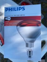 Acht Philips Infrarot Glühbirnen. Wandsbek - Hamburg Volksdorf Vorschau