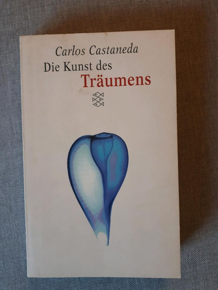 Carlos Castaneda, Die Kunst des Träumens in Stuttgart