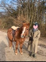 Reitbeteiligung & Pflegebeteiligung für Pony gegen Stallhilfe Bayern - Eckental  Vorschau