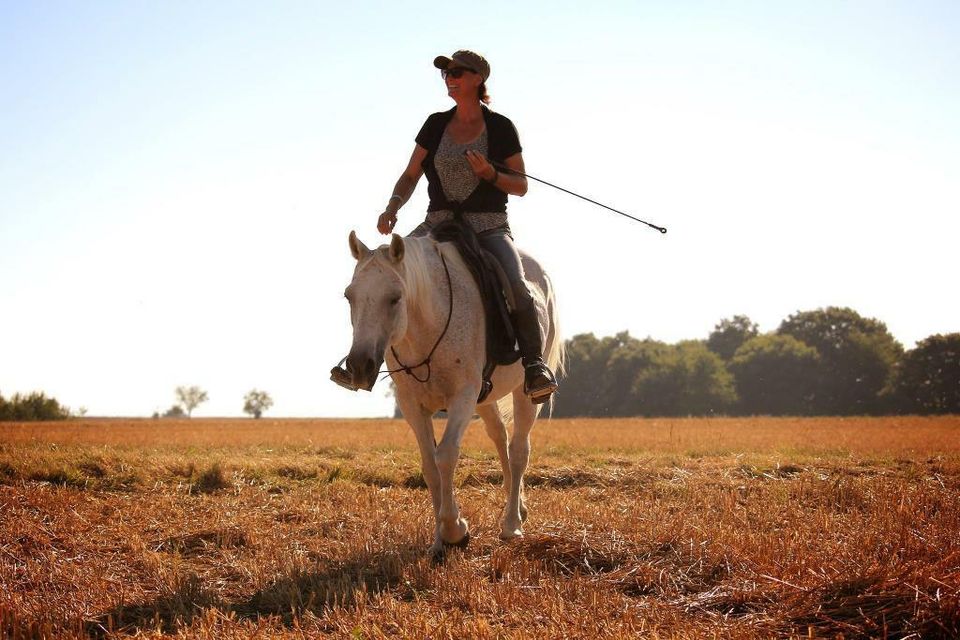 Reitunterricht Natural Horsemanship in Wetzlar