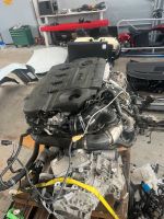 VW Motor 2.0 TDI  DFHA Komplett  mit Getriebe TDJ 52 tkm West - Griesheim Vorschau