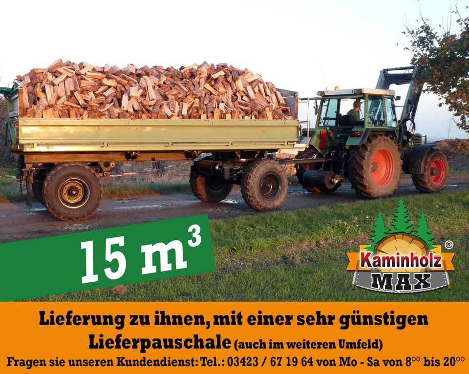 ab 4 m³ bis 35 m³ - 30 km um KEMBERG, Gräfenhainichen, Bad Schmiedeberg Kaminholz, Brennholz, Feuerholz, Holzvergaser, Kamin, Holz, Feuer, Brenn in Kemberg