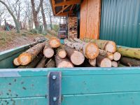 Brennholz bearbeiten, Weihnachtsbaumkulturen und Gärten pflegen. Niedersachsen - Bad Bederkesa Vorschau