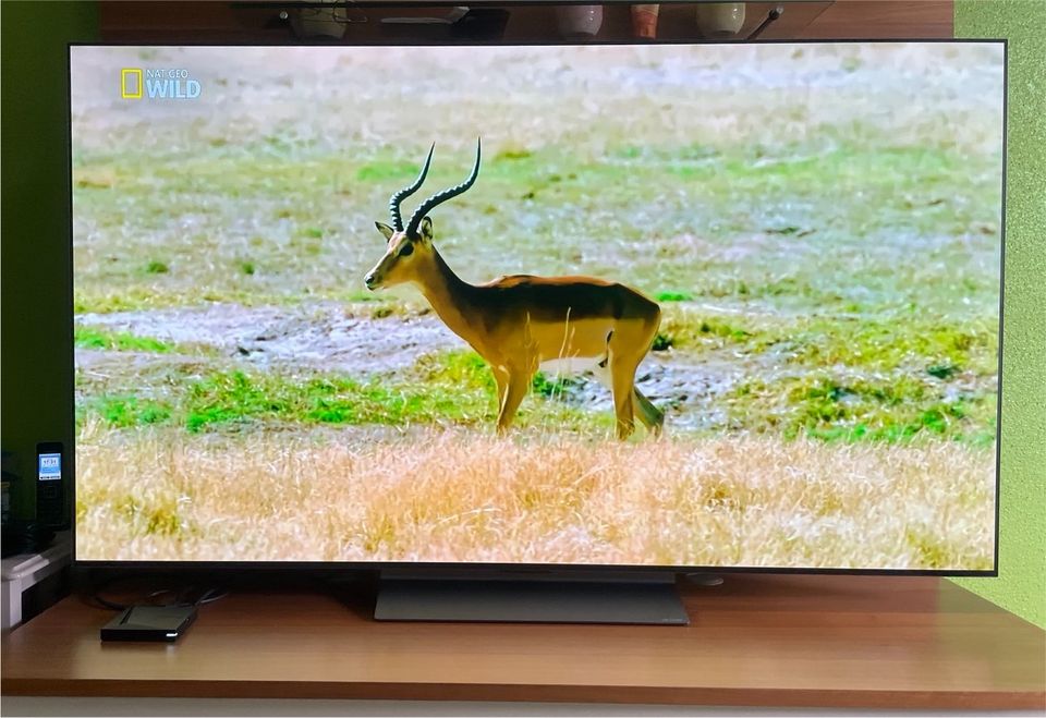 LG OLED evo 65 C39LC in Freystadt