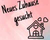 Wohnung gesucht Hessen - Babenhausen Vorschau