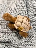 Schildkröte Steiff Kreis Pinneberg - Langeln Vorschau