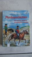 Pferdegeschichten von Ponys, Reitern und dicken Freunden Schleswig-Holstein - Norderstedt Vorschau