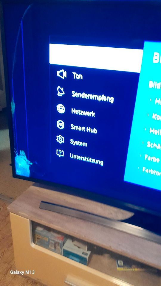 Samsung TV Display defekt in Halle