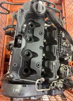 Motor Audi Seat Ibiza Skoda VW Golf Caddy 1.6 TDI CAY Bielefeld - Senne Vorschau