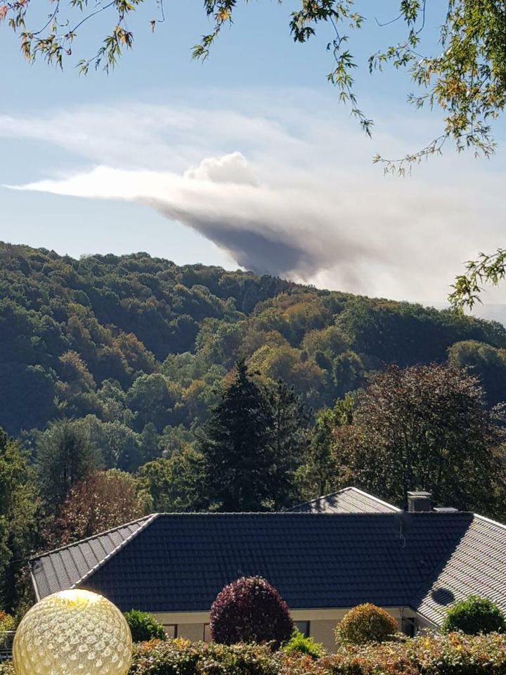 Garten ▪ Rasen ▪ Hecken ▪ Sträucher ▪ Beete ▪ Pflege ▪ Terrassen in Hennef (Sieg)