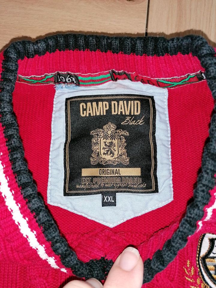 Camp David Pullover Gr. XXL in Brandenburg an der Havel