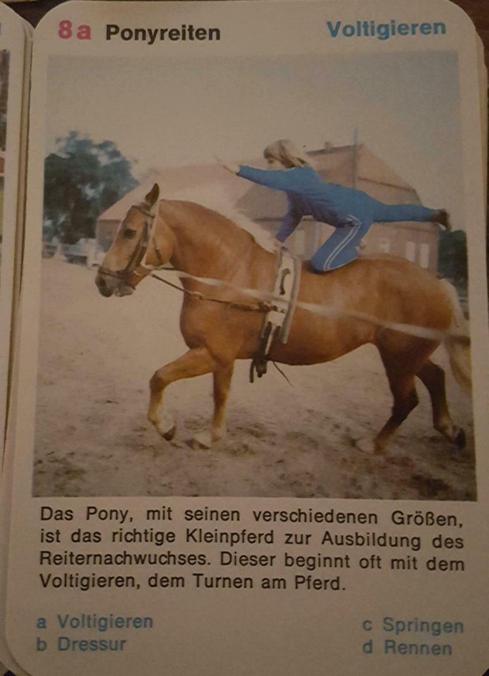 Quartett Pferde Reitsport Kartenspiel - Retro in Buchholz (Westerwald)