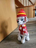 Paw Patrol Marshall Nordrhein-Westfalen - Hamm Vorschau