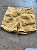 Short samt boden / kurze hose Schwachhausen - Neu Schwachhausen Vorschau