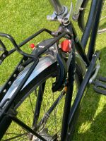 Damenrad ( Cityrad ) zu verkaufen Nordrhein-Westfalen - Mettingen Vorschau