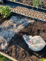 Asche aus Holz, natürlicher Bio Dünger für Garten Obst, Gemüse Baden-Württemberg - Langenau Vorschau