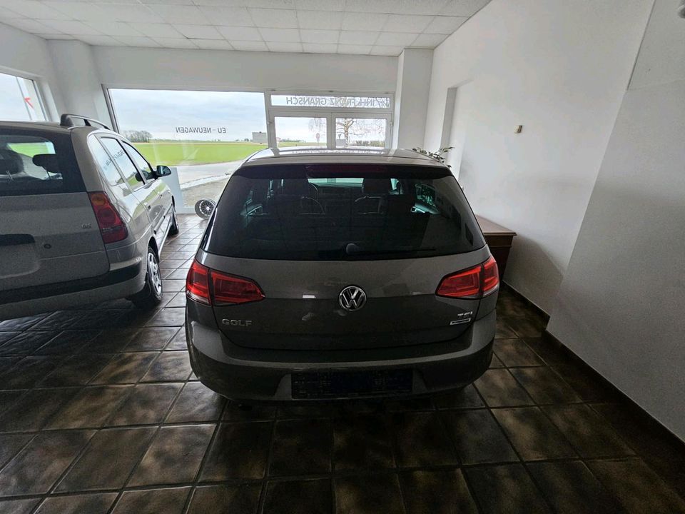 Golf 7 1,2 tSI Lounge in Gangelt