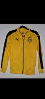 BvB Sweatjacke Brandenburg - Glienicke/Nordbahn Vorschau