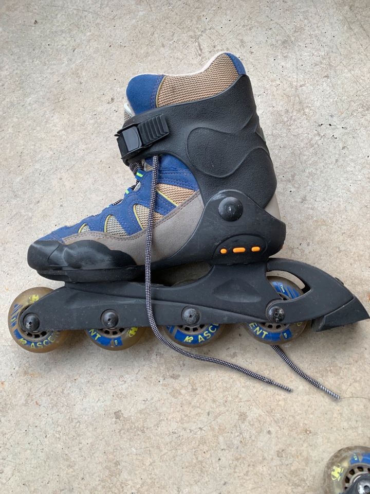 **K2 Inline Skates** Inlineskates Blau Grau 39 Schützer in Luckau