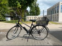 Verkaufe Damenrad von Koga Miyata - kleinere Reparaturen Nordrhein-Westfalen - Greven Vorschau