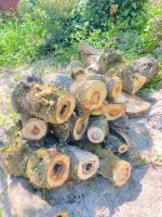 Holz vom Apfelbaum, Brennholz Kreis Ostholstein - Eutin Vorschau