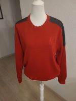 Claudio Campione Pullover Gr. M Nordrhein-Westfalen - Minden Vorschau