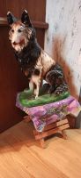 Porzellan Hund Collie zu verkaufen Bayern - Knetzgau Vorschau