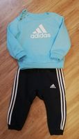 Adidas Pulli Hose Jogginganzug Gr. 80 Rheinland-Pfalz - Waldweiler Vorschau