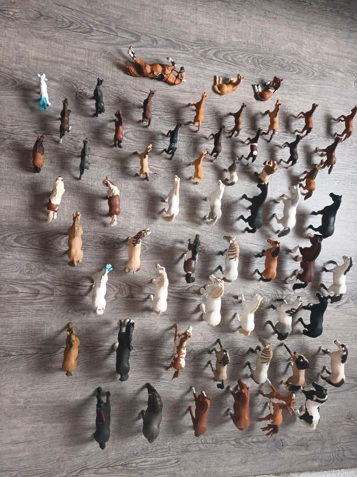 Schleich Sammlung in Ruhla