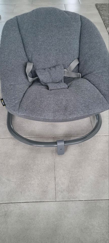 Hauck Alpha Premium Bouncer in Paderborn