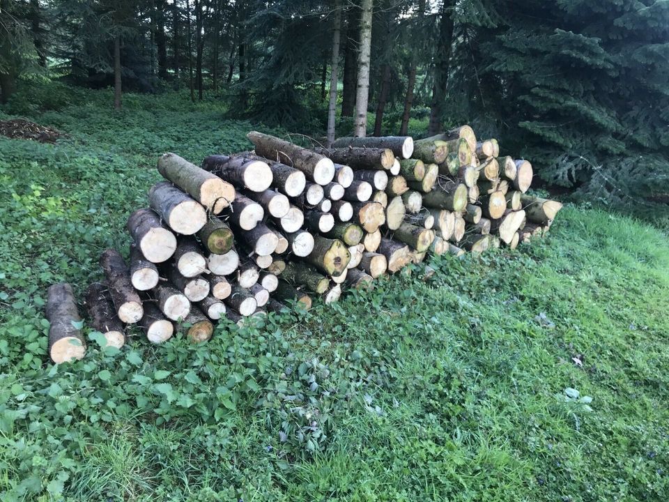 Brennholz Holz Feuerholz Kaminholz in Steinfurt